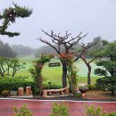 군들 | ⛳ 남수원체력단령장(남수원 CC) 군골프장 라운딩 후기