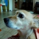 봉희농장 이미지