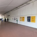 2859 | 서울잠실무료전시: [빈센트발] 쉐도우그림 '그림자가 남긴 한 컷'후기