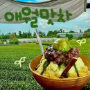 동다원 | 🌴제주 애월 카페 애월맛차 녹차밭이 보이는 말차빙수 맛집