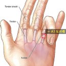 오성수지 이미지