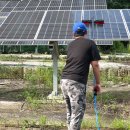 경사로 태양광발전소 이미지