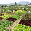 상식농장 이미지