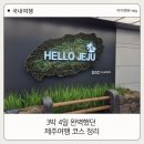 할망꽃쉼팡 민박 | [제주여행] 설 연휴 끝, 3박 4일 완벽했던 제주여행 코스 정리