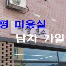 미장모수