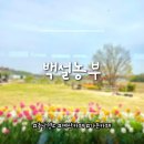 백설농부 | [충남 예산 카페] 예산 힐링 가든 카페 <백설농부> 후기