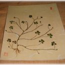 네잎클로버의 메아리 이미지