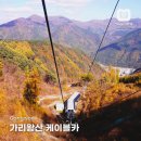준카프라자 | 가리왕산 케이블카 예약 시간 가을 단풍 정선 여행