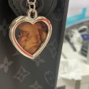 유석농장 | [박알밤 임신기록]37-38주, 박알밤 너어 언제 내려올래?