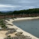 오리장군 이미지