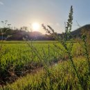 (주)남영전기 이미지