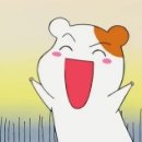 유림-7 이미지