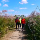 하늘공원 이미지