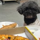 피자스쿨오전점 | 피자스쿨 최애 메뉴 추천 미트러버 피자 + 오지치즈그라탕 후기