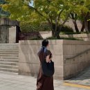 플로롱