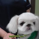 건국동물병원 이미지