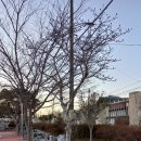 석교초교 이미지