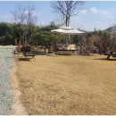 토브하르 이미지