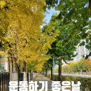 스튜디오 본비 네이버블로그