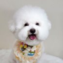 다미살롱 이미지