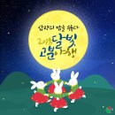 금빛야행