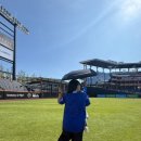 제일광고사 | 대광마크광고사 | 삼성라이온즈 유니폼 손마킹 대구 유니폼 싸인 자수 잘하는곳