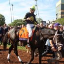 제이에스초이스 이미지