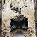 성남대로925번길 | 성남 분당 웨딩홀 고급스러운 어두운홀 w힐스컨벤션 뷔페 만족 하객 후기