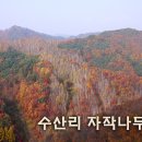 수산리-11 이미지
