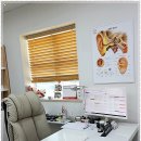 오티콘보청기 수영점 이미지