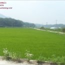 양사면보건지소 이미지