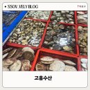 고흥수산 | [고흥수산] 마포 농수산물 시장의 싱싱한 해산물이 가득한 고흥수산 방문후기