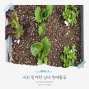 9988주간복지센터 이미지