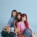 톱제화 이미지