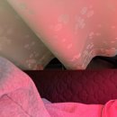 유강한의원 이미지