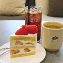 🍰신중동역 카페 미블랑 케이크 내돈내산 후기🍰