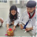 늘해랑 태권도장 이미지