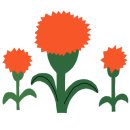 직장인 힐링 원예치료 이미지