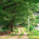 상관편백숲 쉼터 이미지