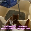고양이 모래 추천, 아메리칸솔루션 그랜드마스터 벤토나이트 실후기