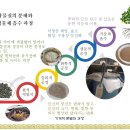 129기 전통발효농법 실습교육 완료... 4월 22일(토) 이미지