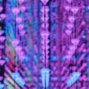 모코(MOCO) 이미지