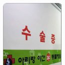 햇빛동물병원 이미지