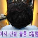 한스헤어 이미지