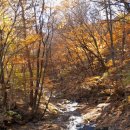 벽소령 펜션 이미지