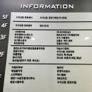 머스트 브론즈 이미지