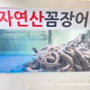 바다장어산꼼장어 이미지