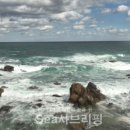 파도의숨결 네이버블로그
