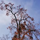 석우리 마을회관 이미지