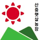 어전농장 이미지